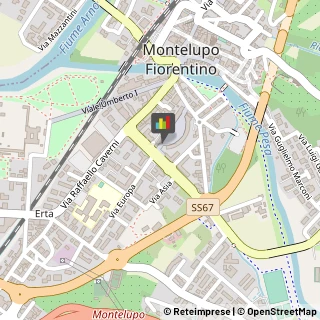 Notai Montelupo Fiorentino,50056Firenze