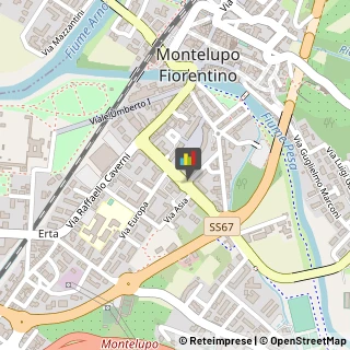 ,50056Firenze