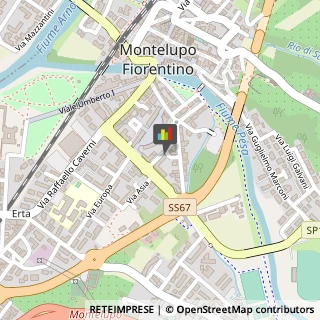 ,50056Firenze