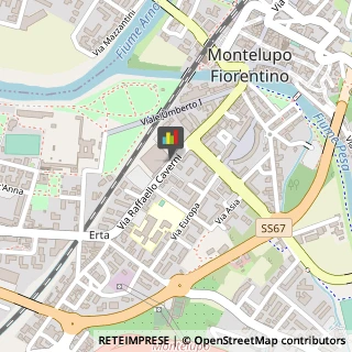 Farine Alimentari,50056Firenze