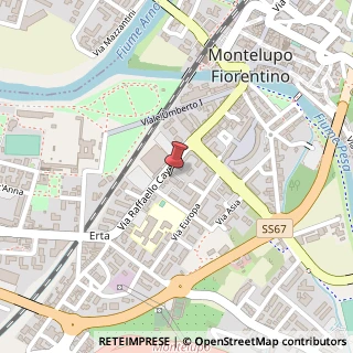 Mappa Via Raffaello Caverni, 137, 50056 Montelupo Fiorentino, Firenze (Toscana)