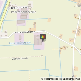 Segherie,56031Pisa