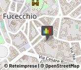 Fisiokinesiterapia - Medici Specialisti Fucecchio,50054Firenze
