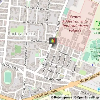 Paste Alimentari - Dettaglio,56123Pisa