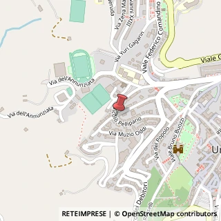 Mappa Via Nicolo' Pellipario, 39, 61029 Urbino, Pesaro e Urbino (Marche)