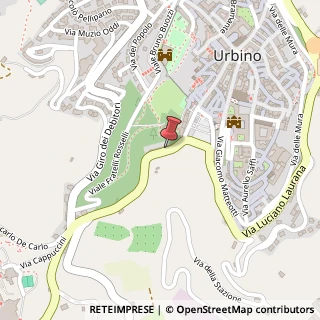 Mappa Via Nazionale, 20, 61029 Urbino, Pesaro e Urbino (Marche)