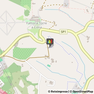Aziende Agricole Rignano sull'Arno,50067Firenze