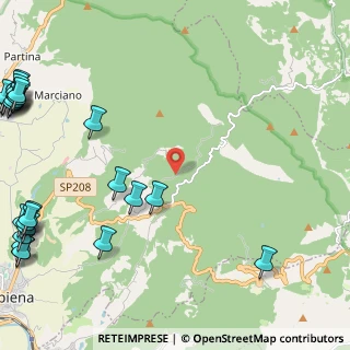 Mappa Strada Foreste Casentinesi Vers., 52011 Bibbiena AR, Italia (3.91481)