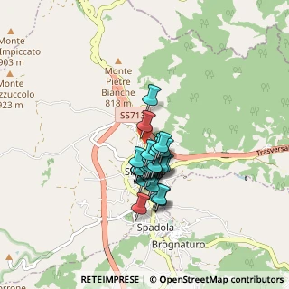 Mappa Contrada Carcara Zona Industriale, 89822 Simbario VV, Italia (0.65357)