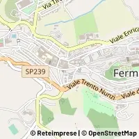 Harita Fermo