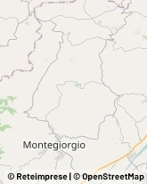 Laboratori Odontotecnici Montegiorgio,63833Fermo