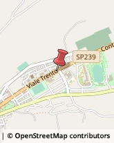 Viale Trento, 244,63023Fermo