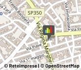 Piante e Fiori - Dettaglio,73057Lecce