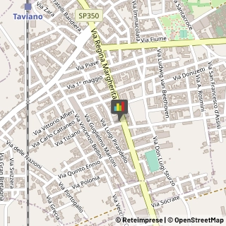 Palestre e Centri Fitness Taviano,73057Lecce