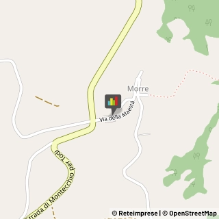 Farmacie,05020Terni