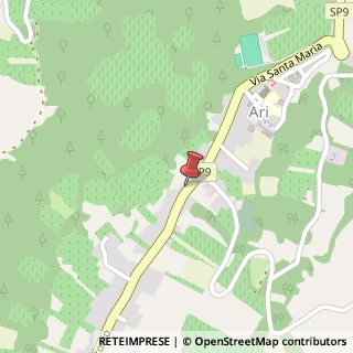 Mappa Via San Antonio, 10, 66010 Ari, Chieti (Abruzzo)