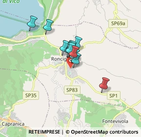 Mappa Via XXIV Maggio, 01037 Ronciglione VT, Italia (1.10917)
