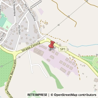 Mappa Zona Artigianale Lungara, 01037 Ronciglione, Viterbo (Lazio)
