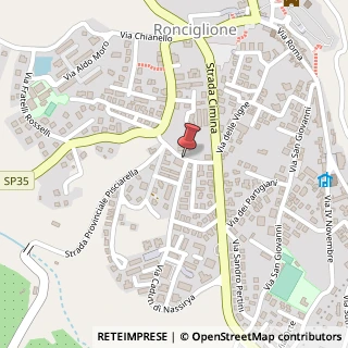 Mappa Via delle Vigne, 30, 01037 Ronciglione, Viterbo (Lazio)