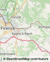 Estratti, Essenze e Prodotti Aromatici per Alimentari Firenze,50123Firenze