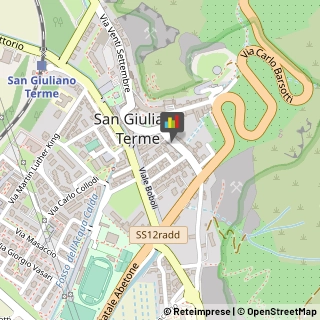 Centri di Benessere San Giuliano Terme,56017Pisa