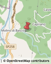 Strada per Castello di Bascio, 35,61016Pennabilli