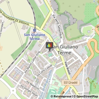 Grafologia San Giuliano Terme,56017Pisa