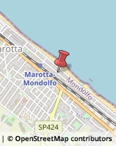 Viale Giosuè Carducci, 123,61037Mondolfo