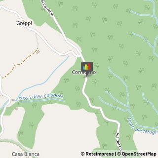 Agriturismi Poppi,52014Arezzo