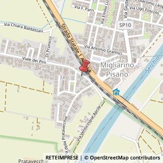 Mappa Viale dei Pini, 15, 56019 Migliarino, Ferrara (Emilia Romagna)