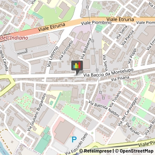 Naturopatia,50142Firenze