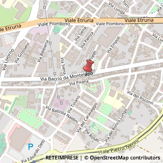 Mappa Via Baccio da Montelupo, 73, 50142 Firenze, Firenze (Toscana)