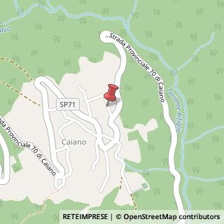Mappa Strada Comunale di Borgo, 122, 52018 Caiano AR, Italia, 52018 Castel San Niccolò, Arezzo (Toscana)