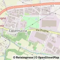 Map Scandicci