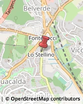 Via Fiorentina, 127,53100Siena