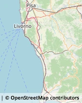 Vendite per Corrispondenza Collesalvetti,57017Livorno