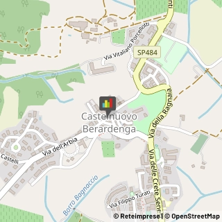 Feste - Organizzazione e Servizi Castelnuovo Berardenga,53019Siena
