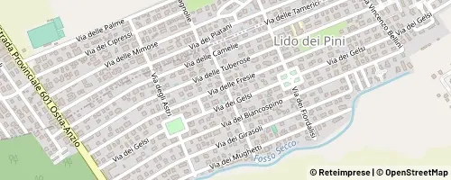 Mappa Anzio