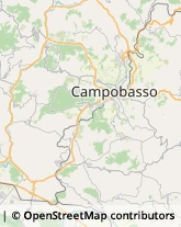 Librerie Campobasso,86100Campobasso