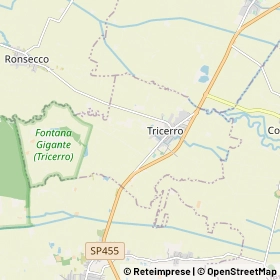 Mappa Tricerro
