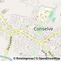 Kaart Conselve