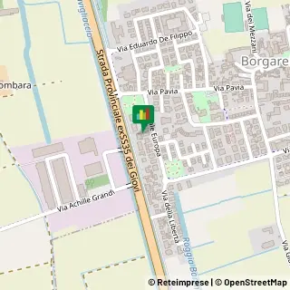 Via Alzaia, 1,27010Borgarello