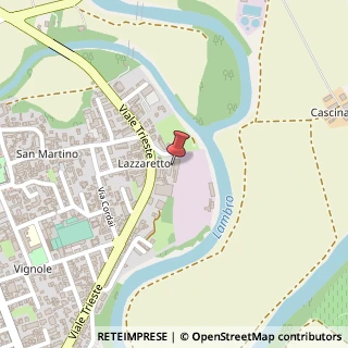 Mappa Viale Trieste, 21, 26866 Sant'Angelo Lodigiano, Lodi (Lombardia)