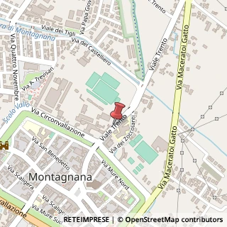 Mappa Viale Trento, 13, 35044 Montagnana, Padova (Veneto)