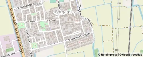 Mappa Borgarello