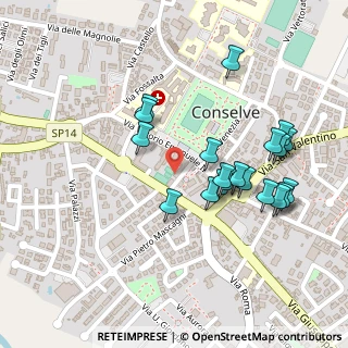 Mappa Piazza dei Bersaglieri, 35026 Conselve PD, Italia (0.234)