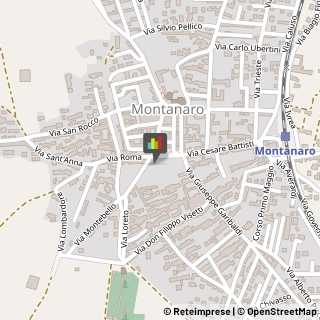 Consulenza Commerciale Montanaro,10017Torino