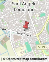 Via Toscanini, 31,26866Sant'Angelo Lodigiano