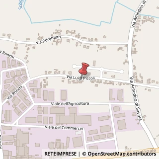Mappa Via l. piccoli, 37046 Minerbe, Verona (Veneto)
