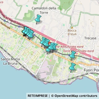 Mappa Via del Santuario, 80059 Torre del Greco NA, Italia (0.9715)